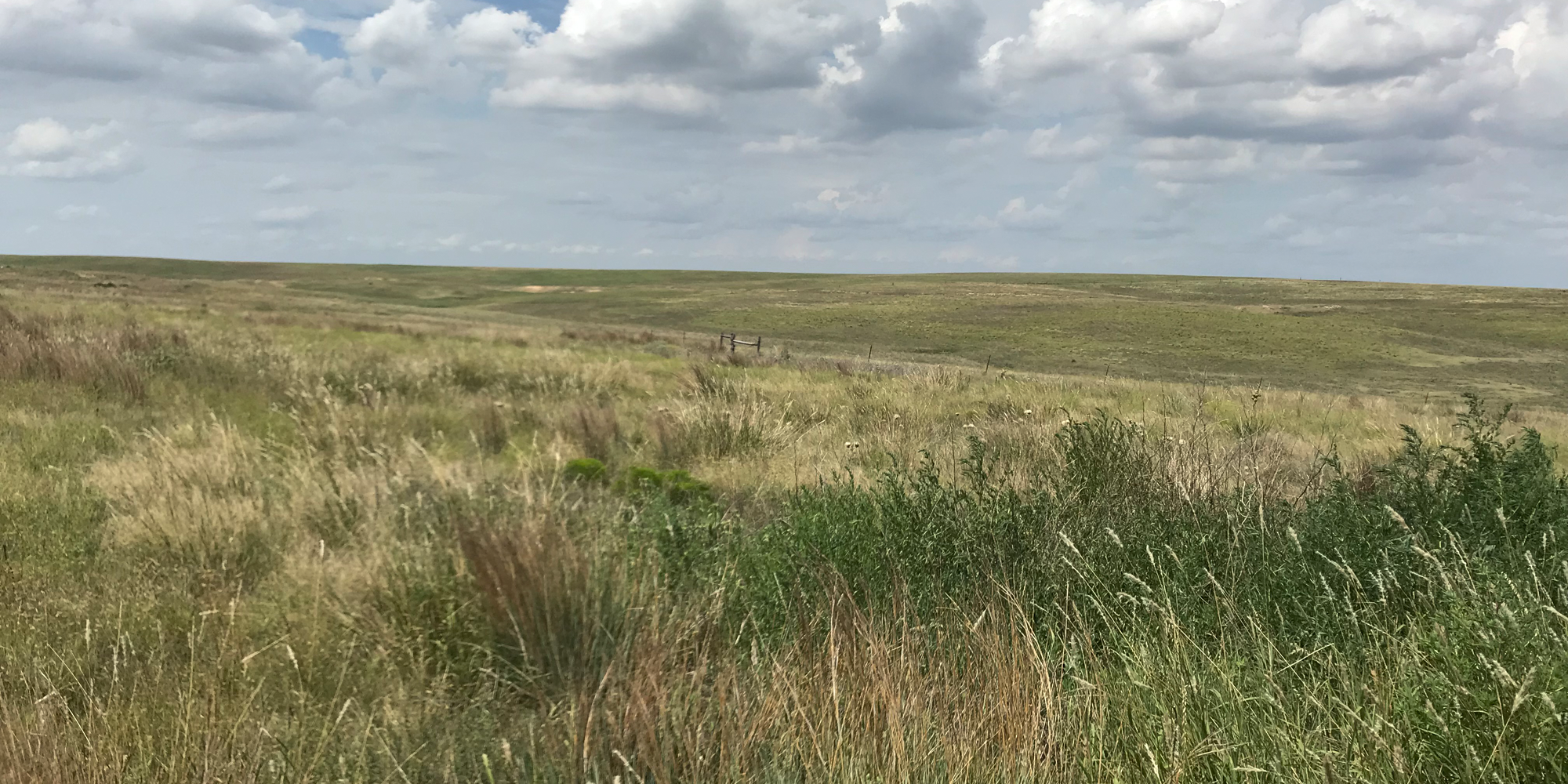 Santa Fe Trail, Ford County